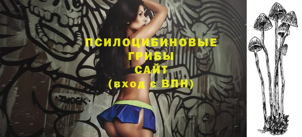 прущие грибы Алексеевка